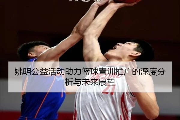 姚明公益活动助力篮球青训推广的深度分析与未来展望